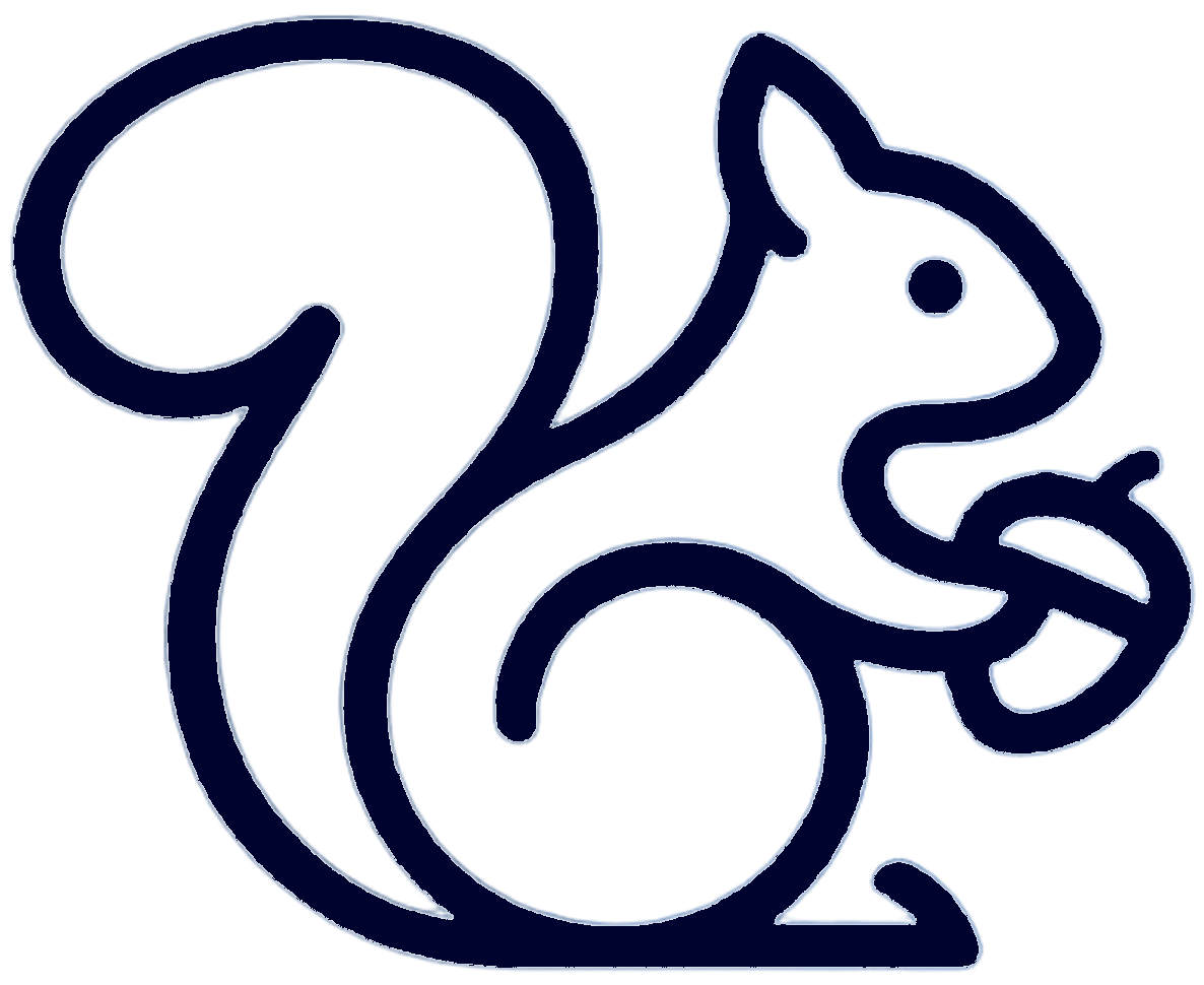 Logo da Noz Inova